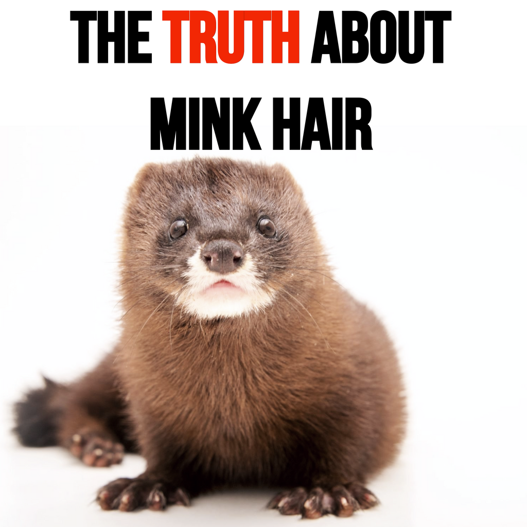The Truth About Mink Hair